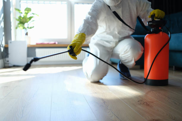 Best Wasp Removal Services  in Hillburn, NY