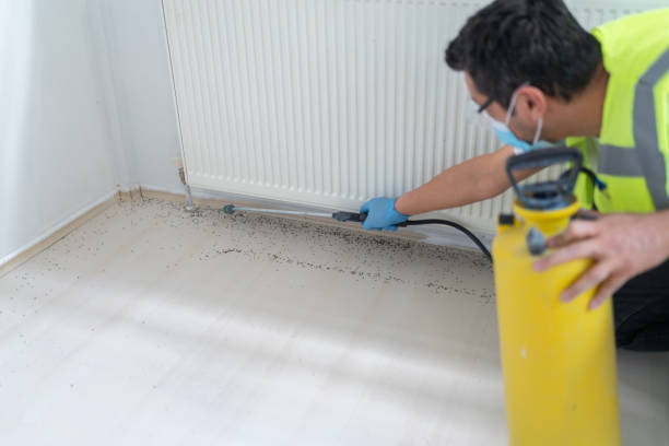 Best Best Pest Control Companies  in Hillburn, NY